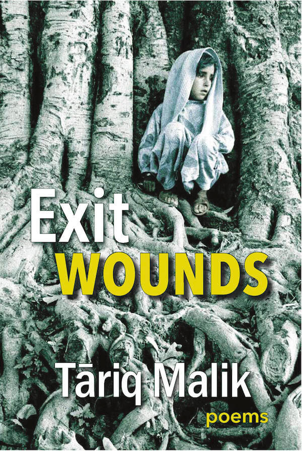 Book Cover: Exit Wounds by Tariq Malik