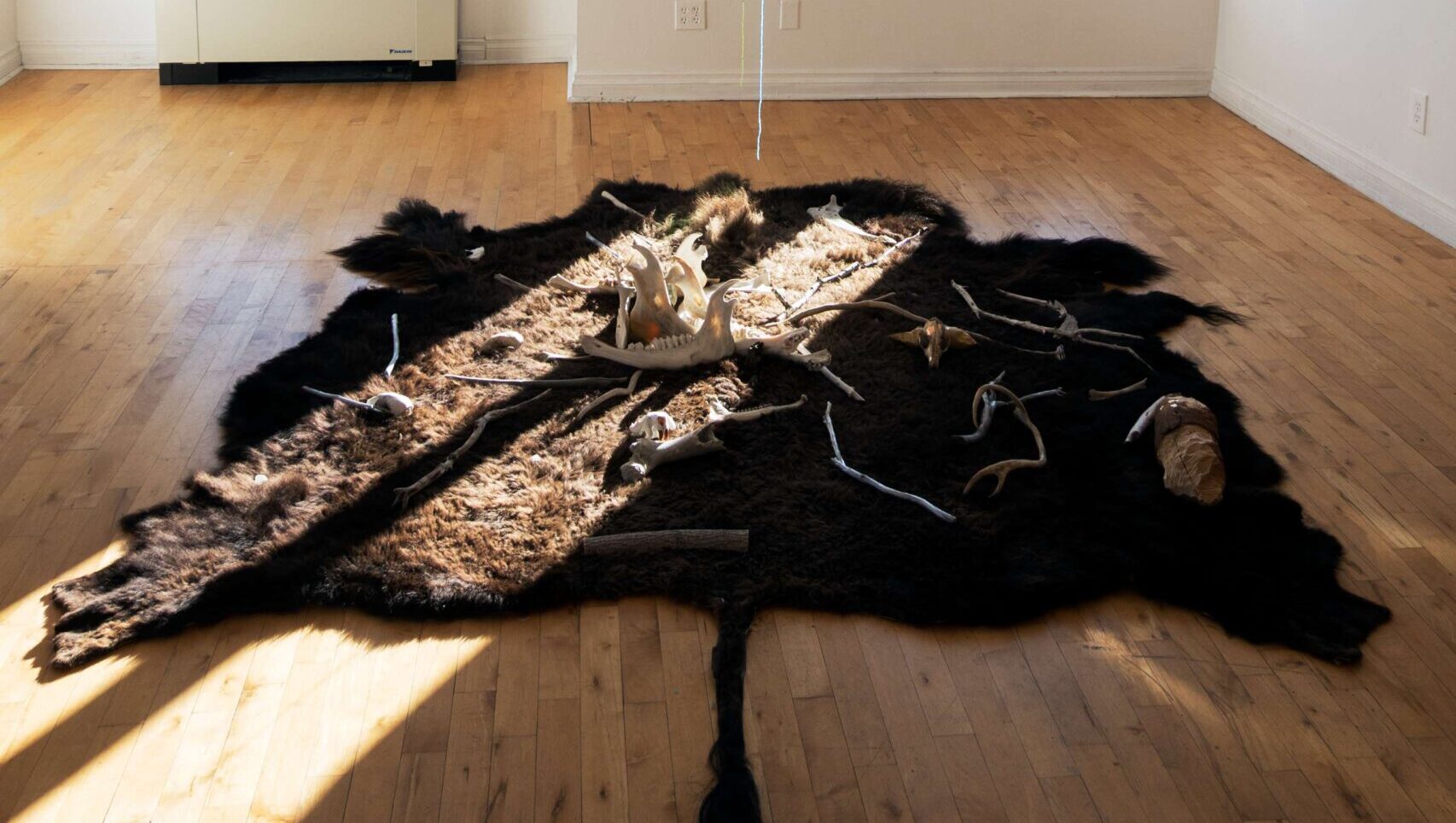 Contemporary art installation featuring animal pelts and hanging artwork in a well-lit gallery.