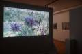 Rungh Art Exhibition Display